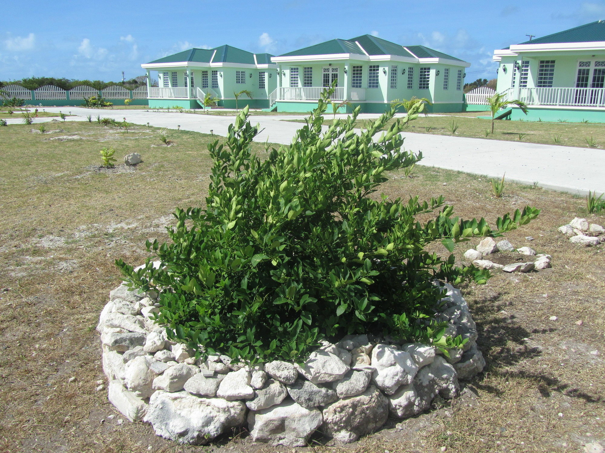 Sea Grape Villas The Settlement Exterior foto
